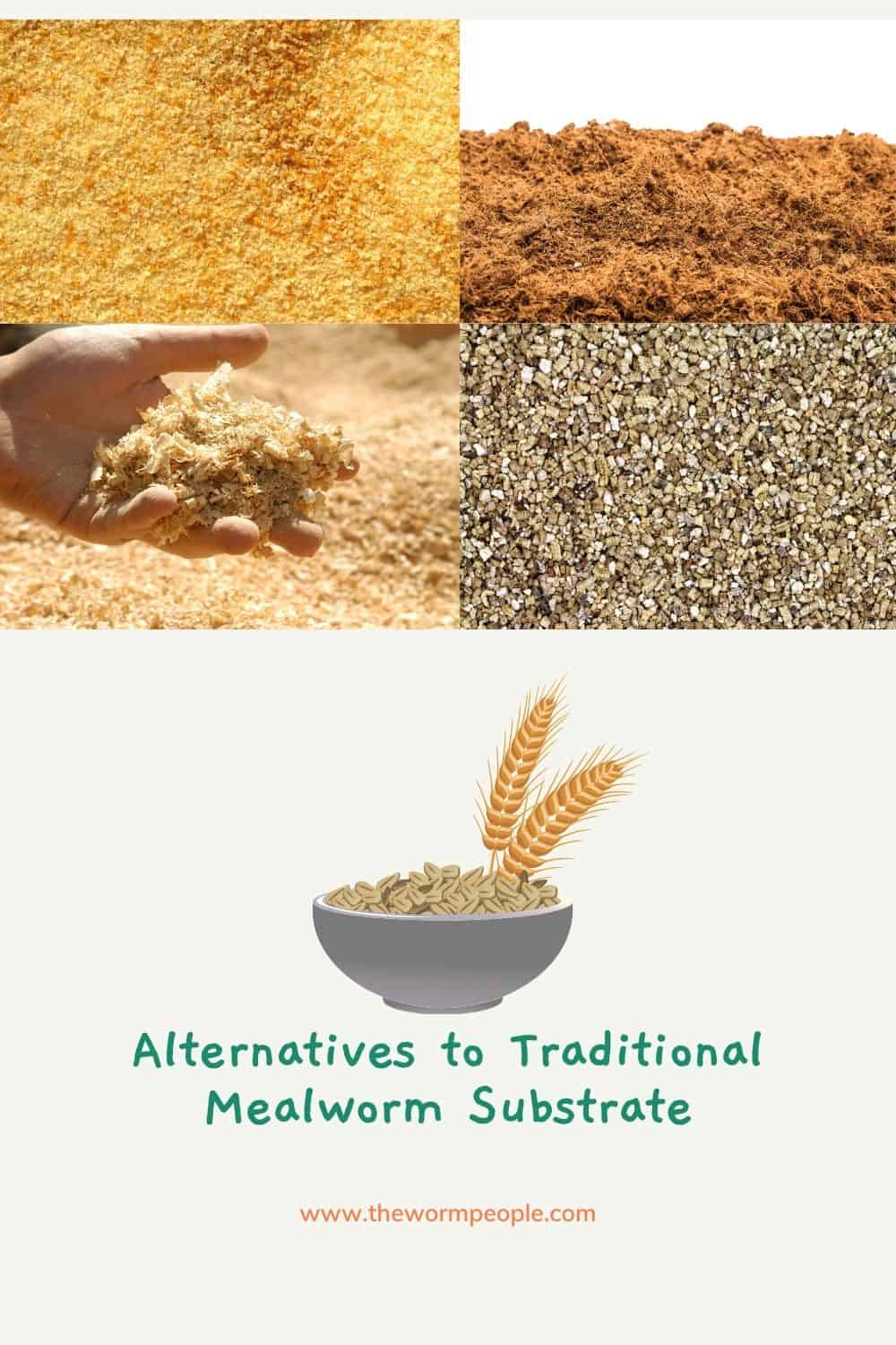 Alternatives to traditional mealworm substrate