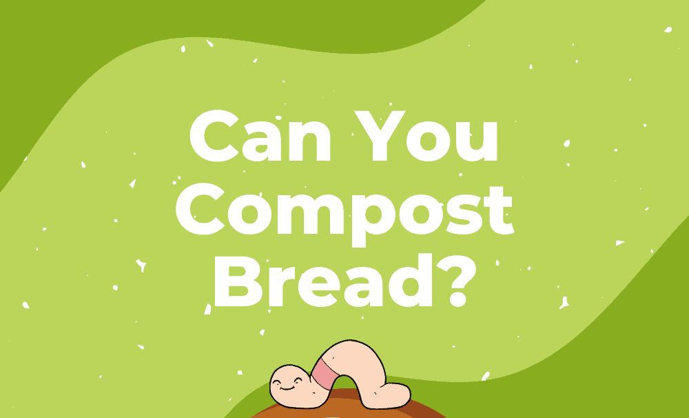 Can You Compost Bread?