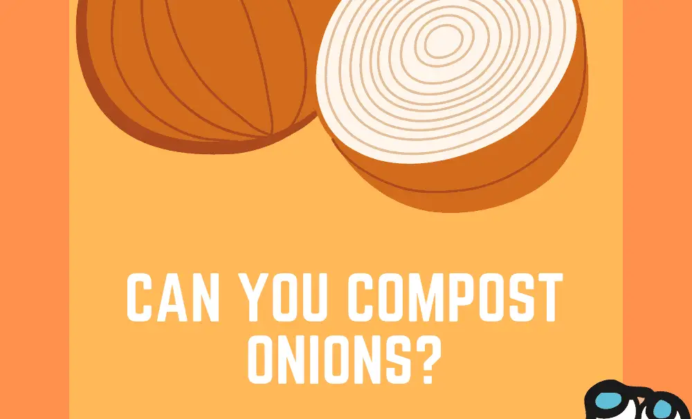 Can You Compost Onions?