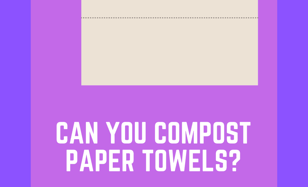 Can You Compost Paper Towels?