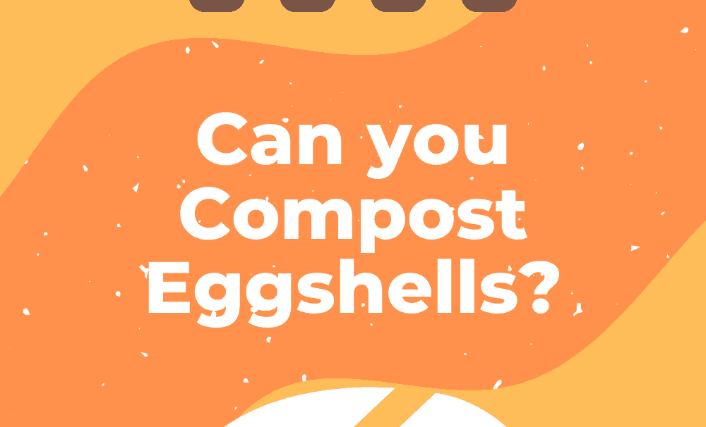 Can you Compost Eggshells