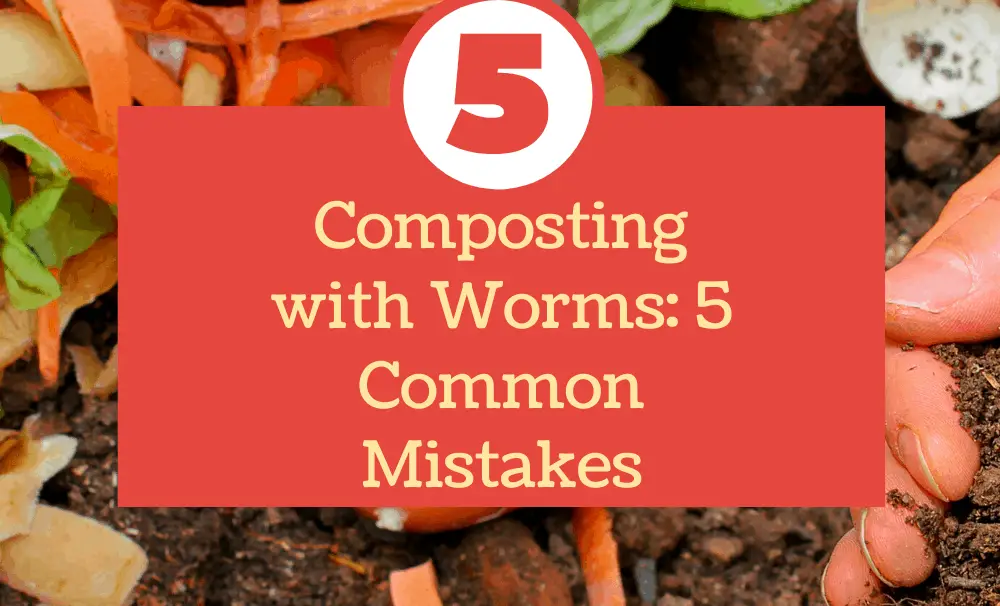 Composting with Worms: 5 Common Mistakes