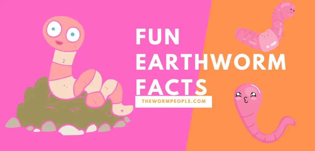 11-super-interesting-facts-about-earthworms