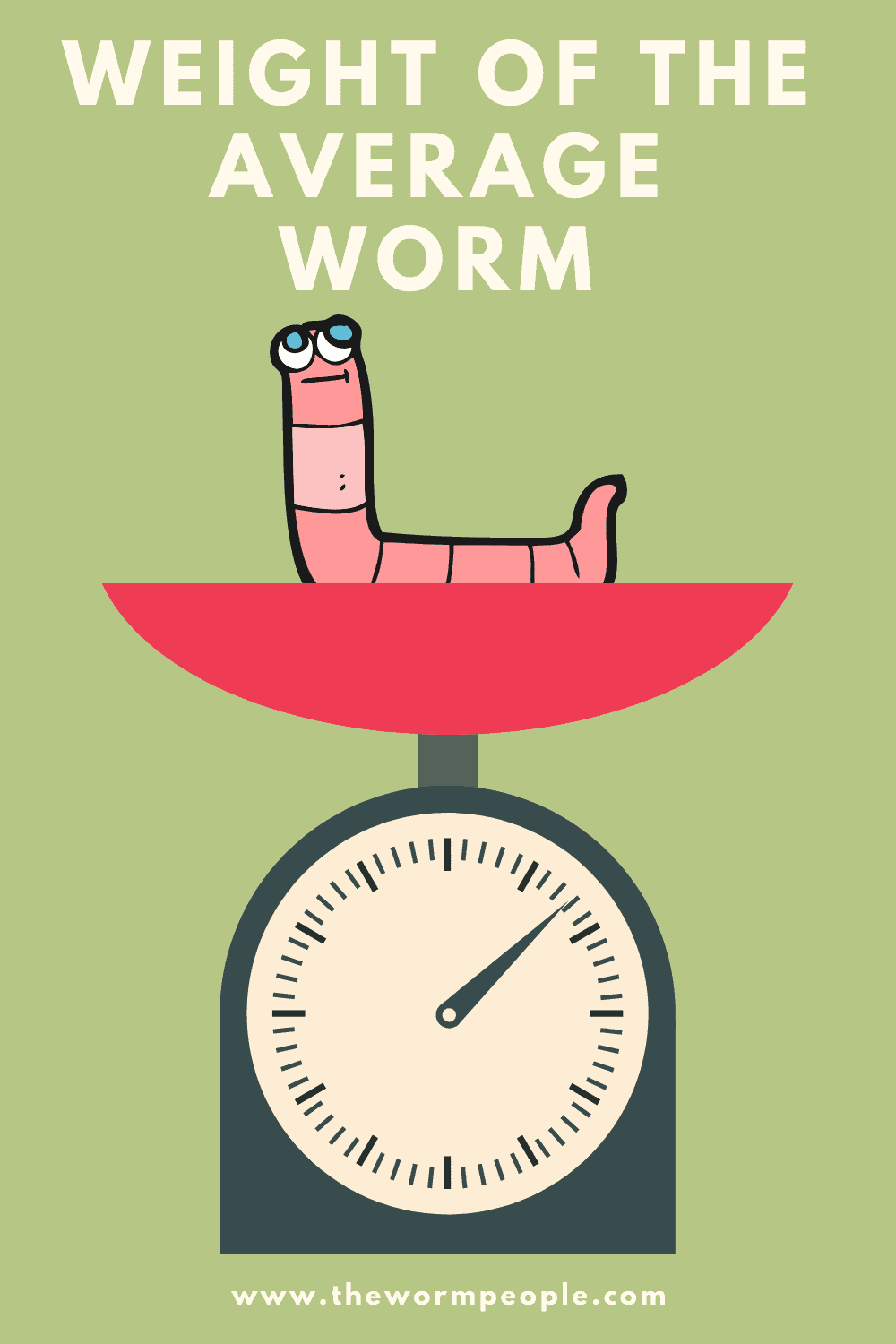 weight of average worm